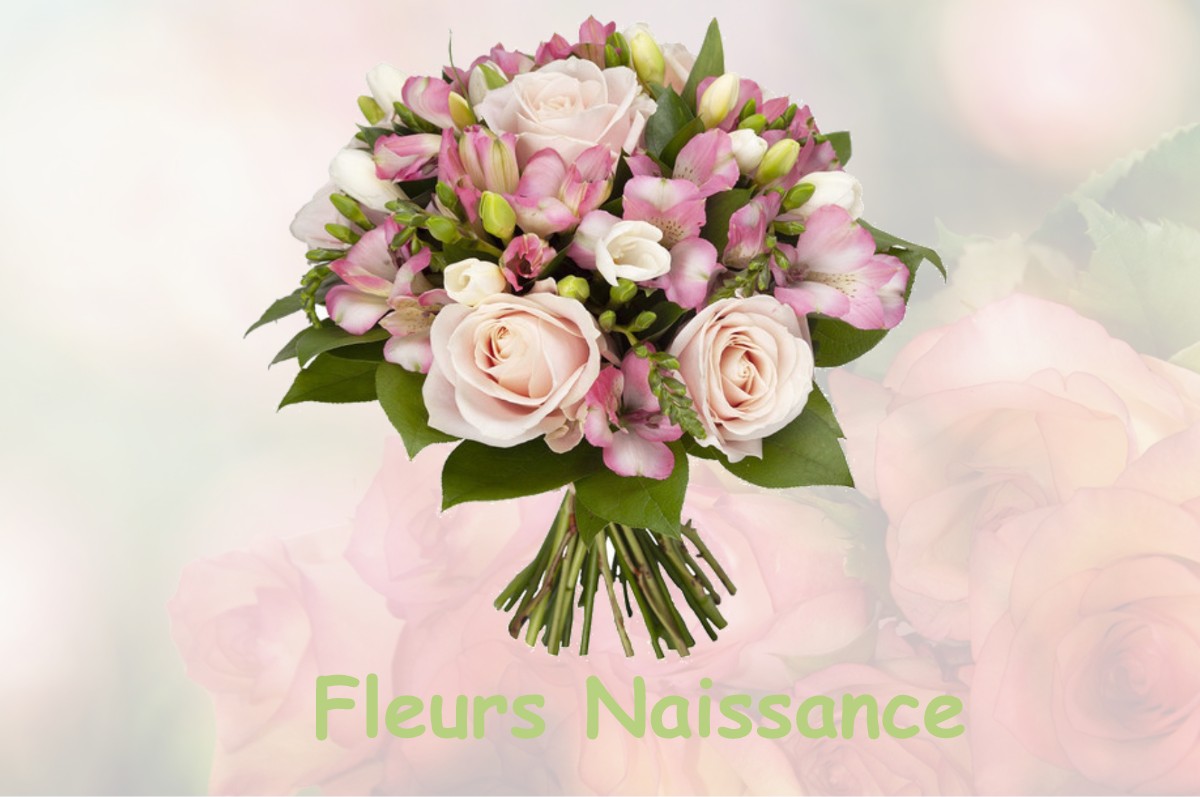 fleurs naissance LE-BOURG-D-OISANS