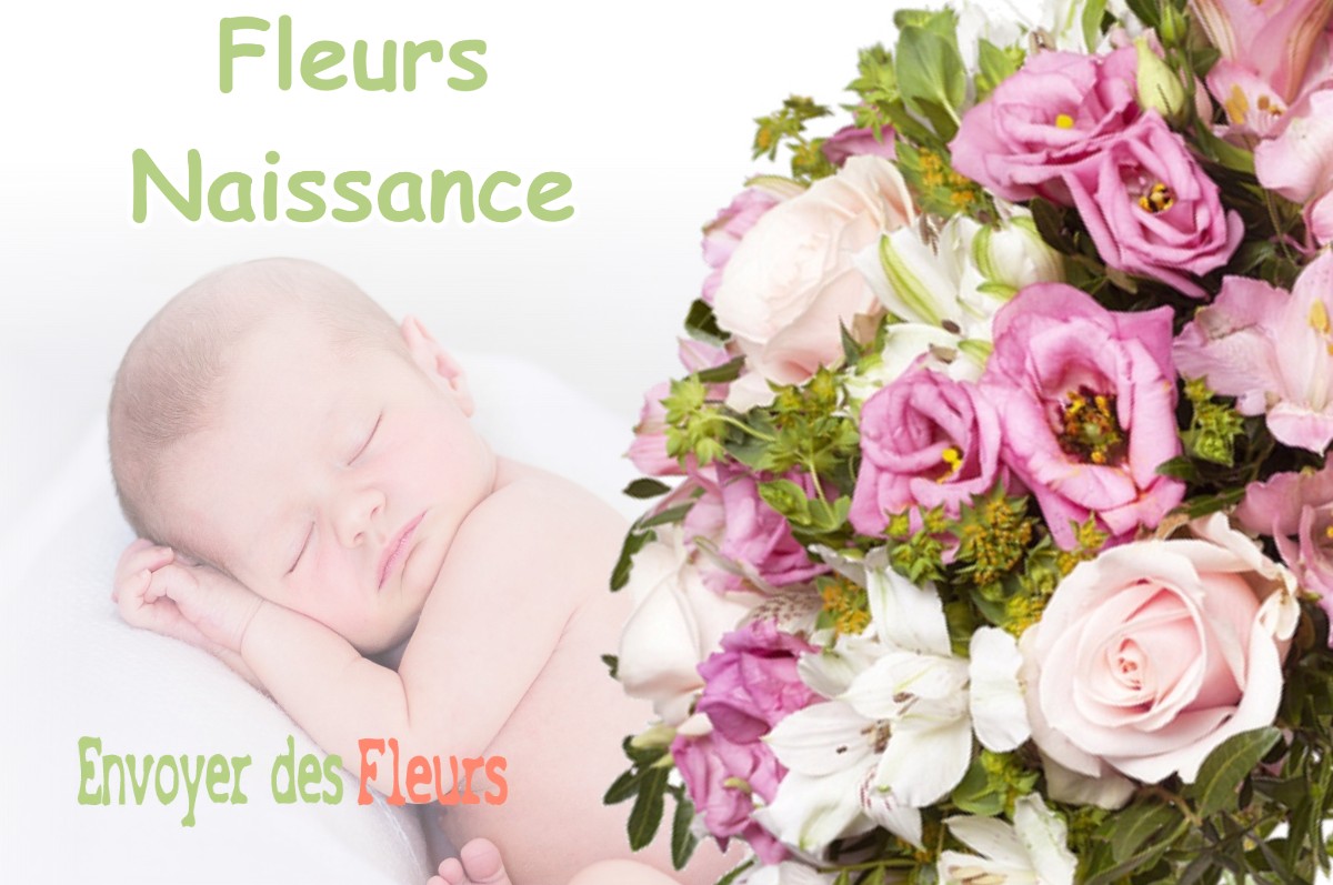 lIVRAISON FLEURS NAISSANCE à LE-BOURG-D-OISANS